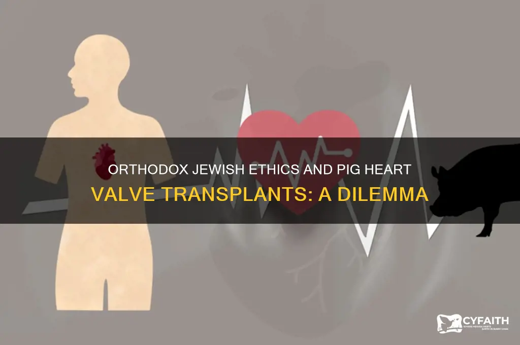 can an orthodox jew have a pig heart valve replacement