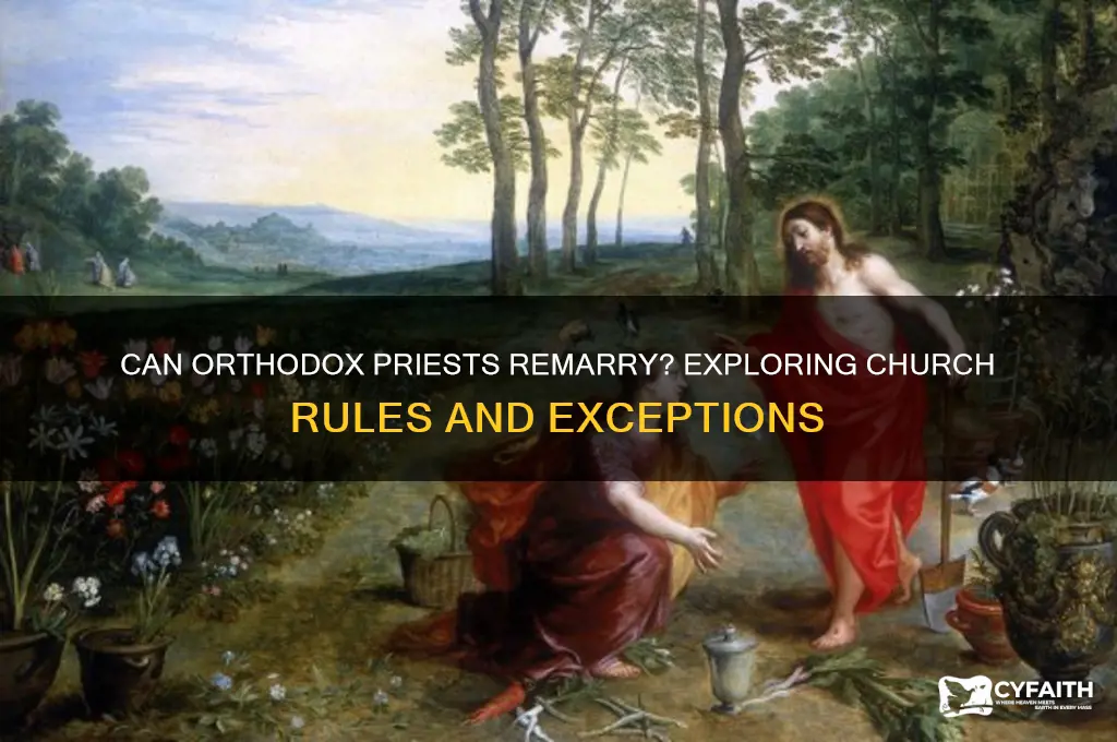 can an orthodox priest remarry