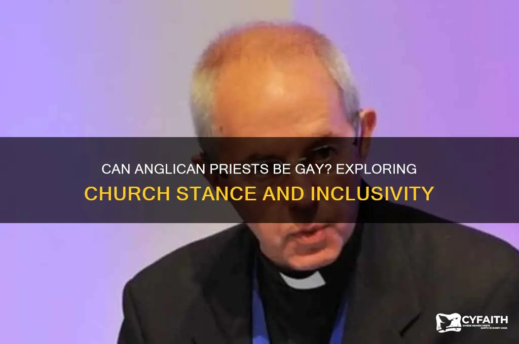 can anglican priests be gay