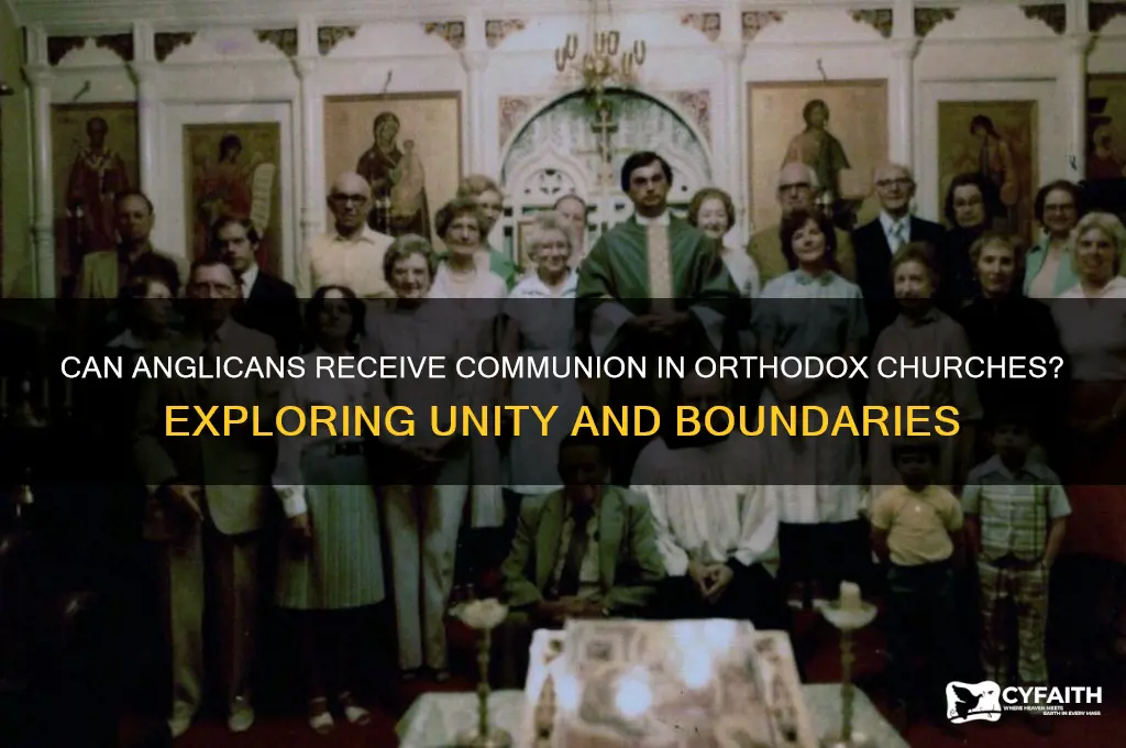 can anglicans receive communion in orthodox church