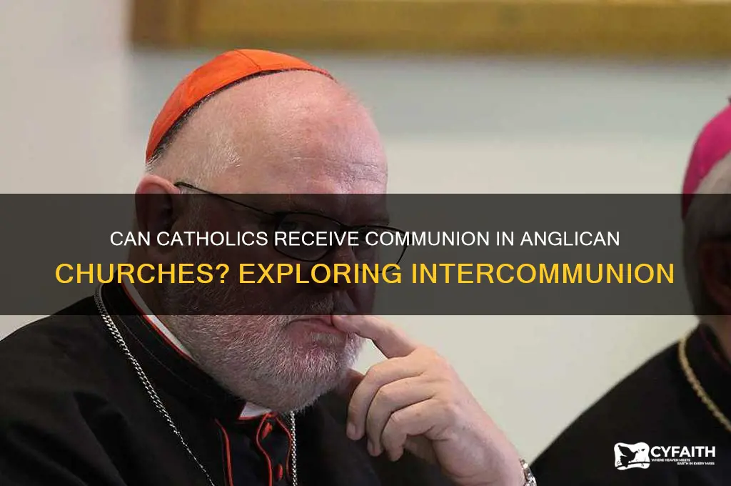 can caholics receive communion at an anglican church