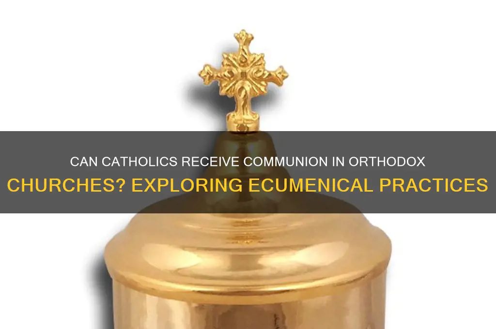 can catholics hold communion in orthodox churches