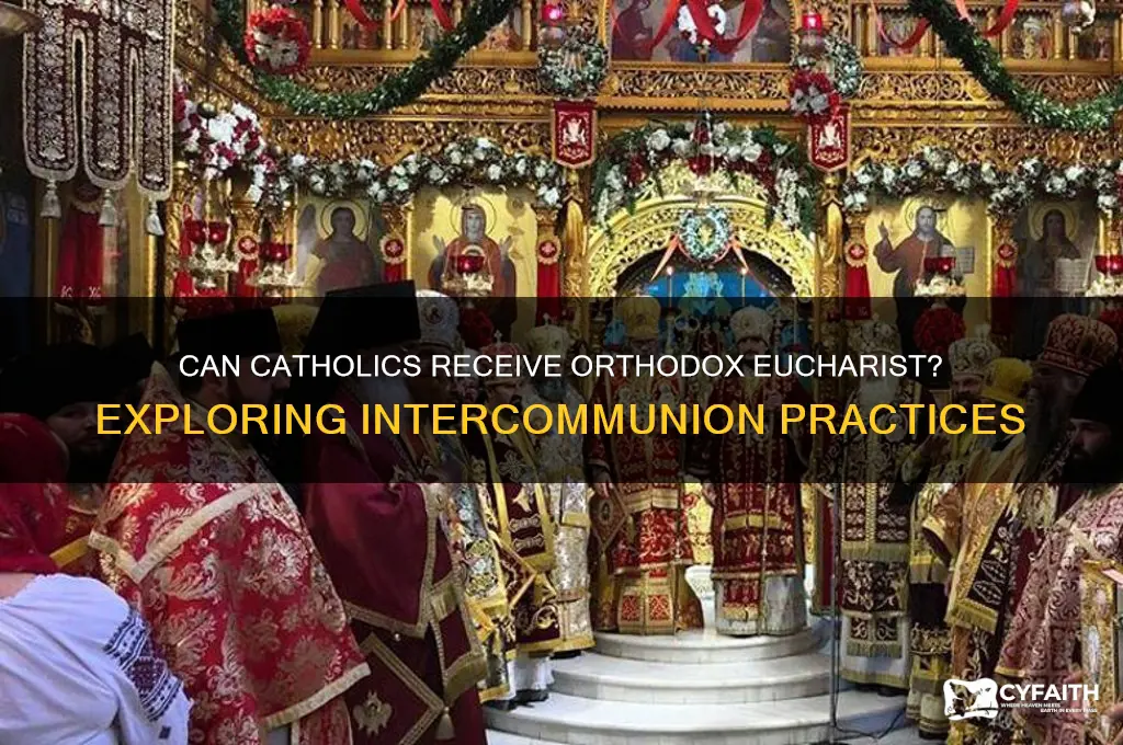 can catholics take eicharist orthodox