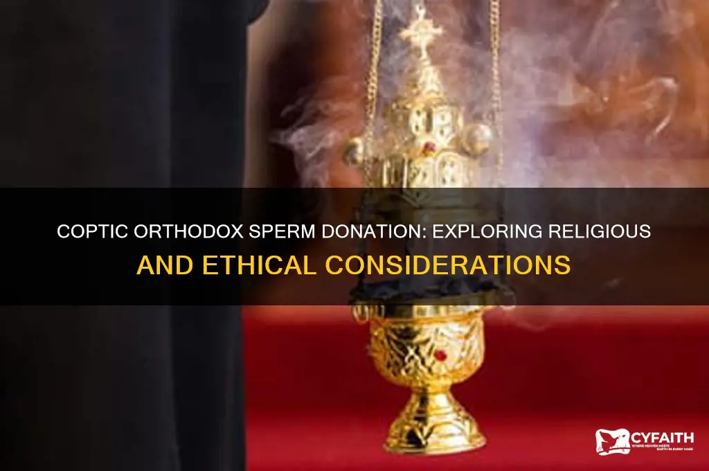 can coptic orthodox donate sperm