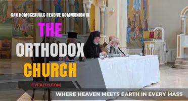 Communion and Homosexuality: Orthodox Church Perspectives and Practices Explored