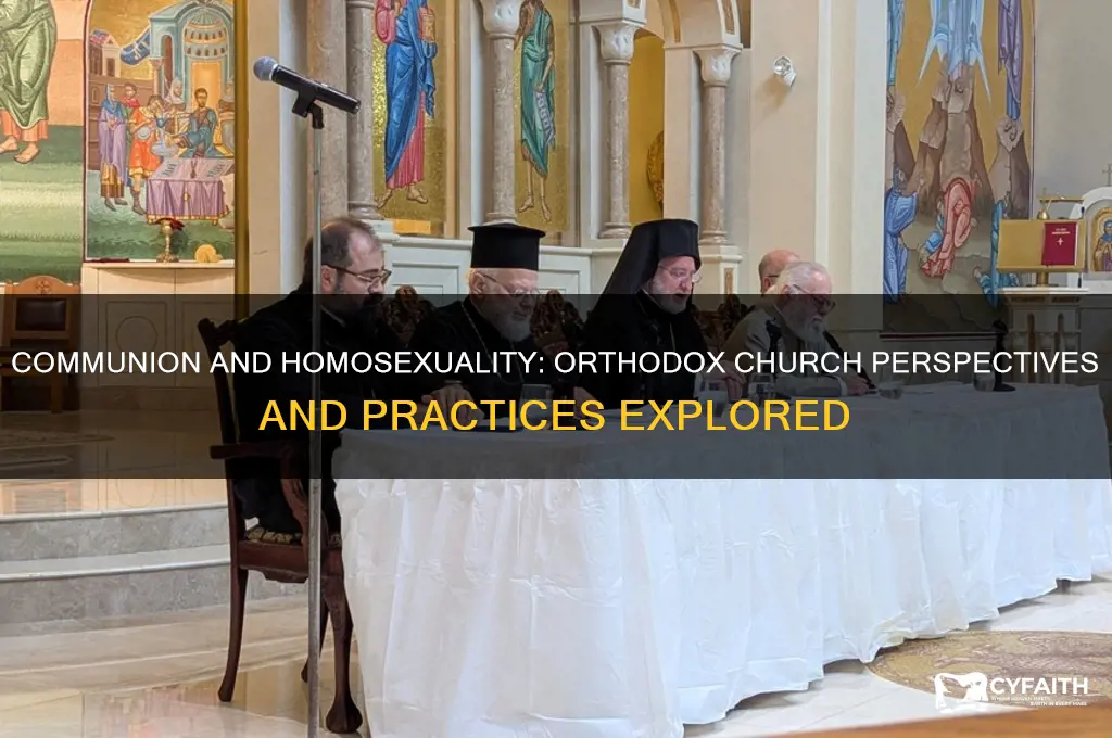 can homosexuals receive communion in the orthodox church