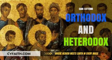 Exploring Orthodox and Heterodox Practices: Can Both Paths Coexist?