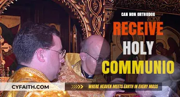 Can Non-Orthodox Christians Receive Holy Communion in Orthodox Churches?