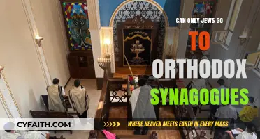 Who Can Attend Orthodox Synagogues? Exploring Jewish Worship Practices