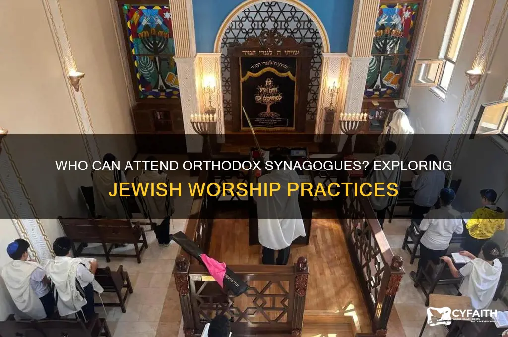 can only jews go to orthodox synagogues