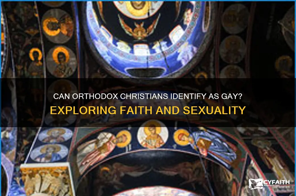 can orthodox christians be gay