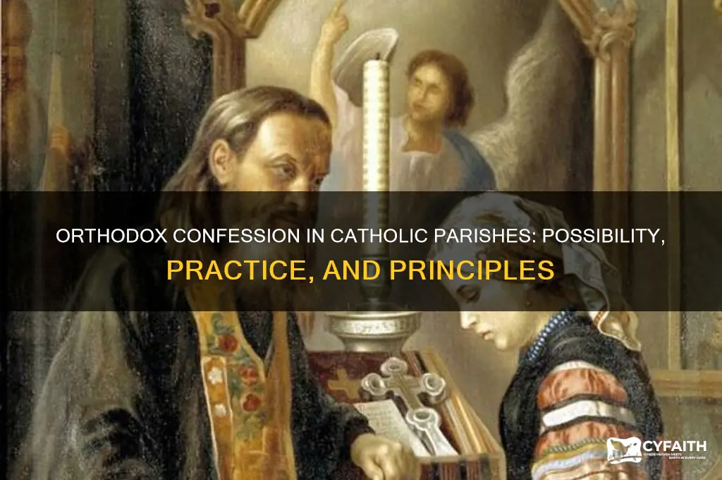 can orthodox christians receive confession in catholic parish