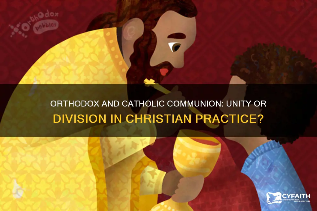can orthodox christians take ctholic communion