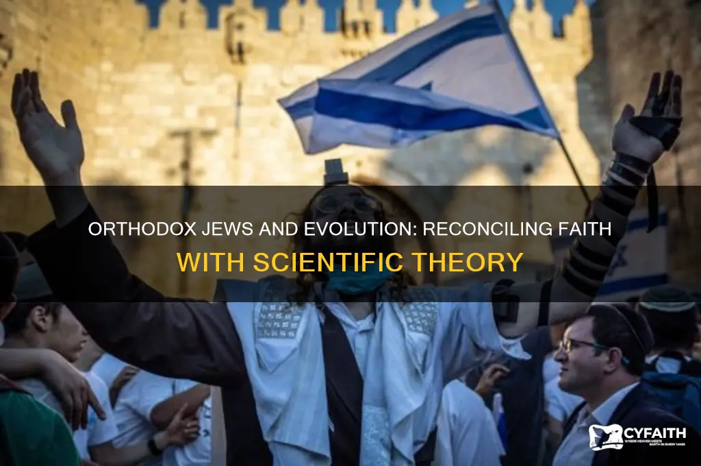 can orthodox jews believe in evolution