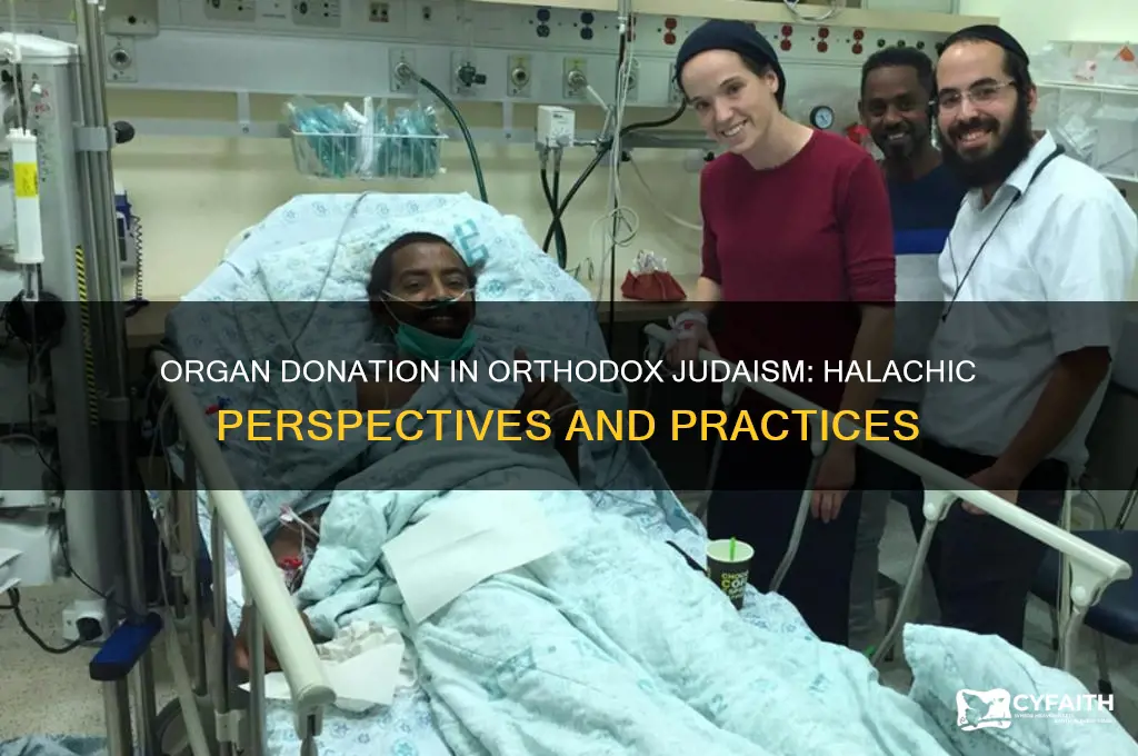 can orthodox jews donate organs