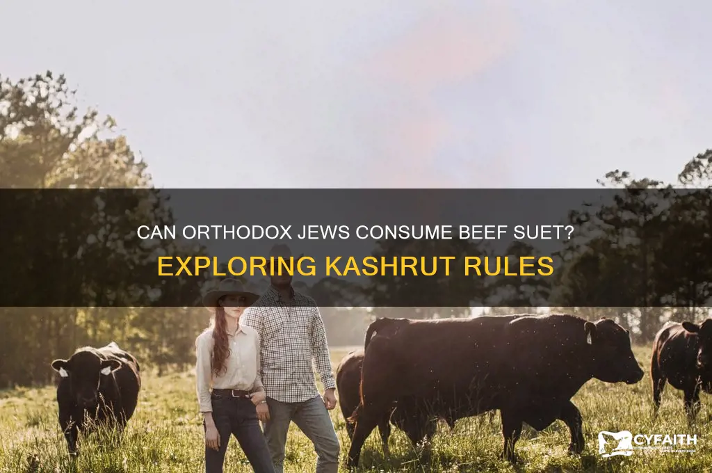 can orthodox jews eat beef suet