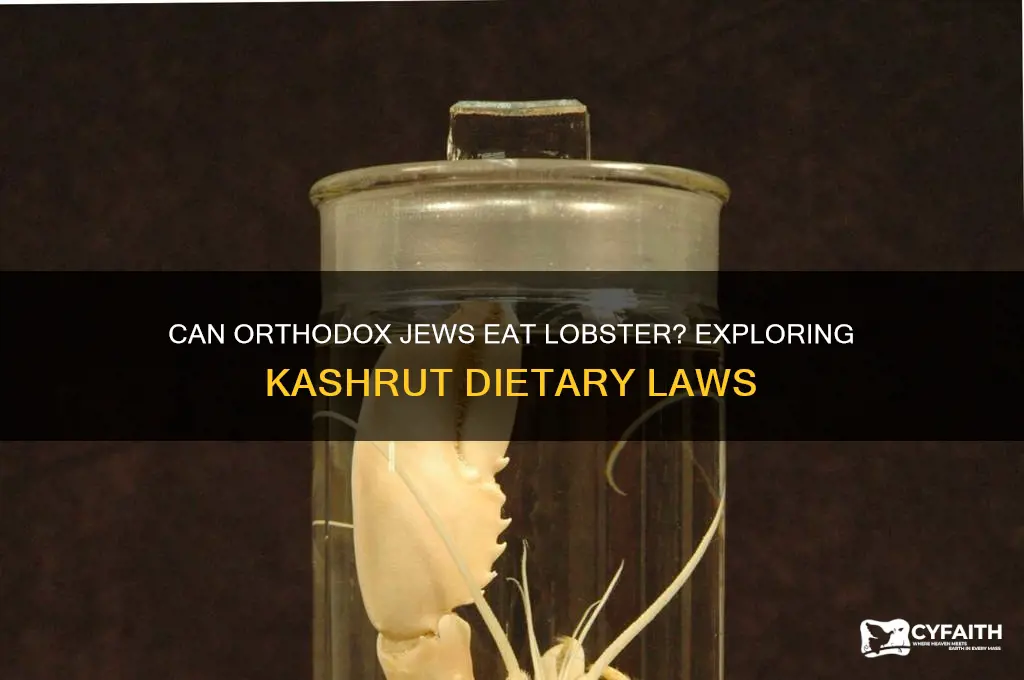 can orthodox jews eat lobster