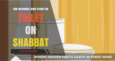 Shabbat Toilet Rules: Can Orthodox Jews Flush on the Sabbath?