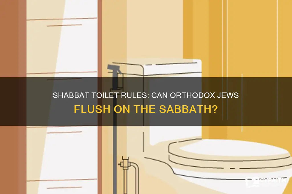 can orthodox jews flush the toilet on shabbat