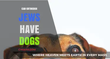 Can Orthodox Jews Own Dogs? Exploring Halacha and Pet Ownership