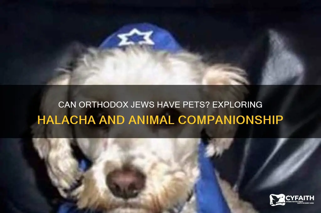 can orthodox jews have pets