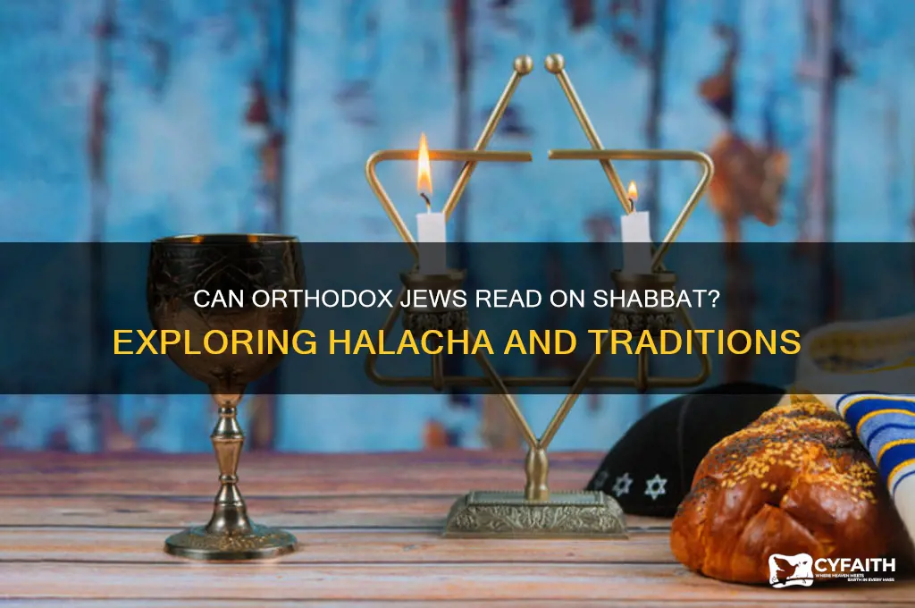 can orthodox jews read on shabbat