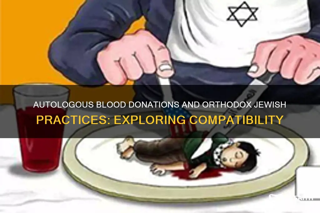 can orthodox jews receive autologous blood donations