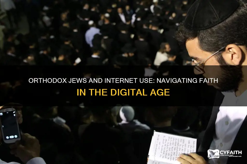 can orthodox jews use the internet