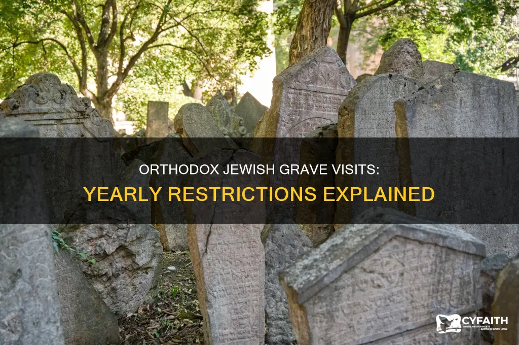 can orthodox jews visit grave within a year