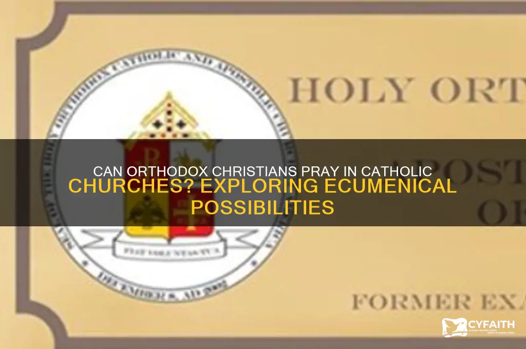 can orthodox pray in catholic church