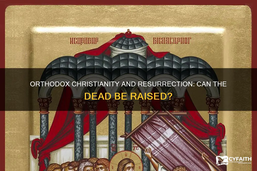 can people be raised from the dead orthodox