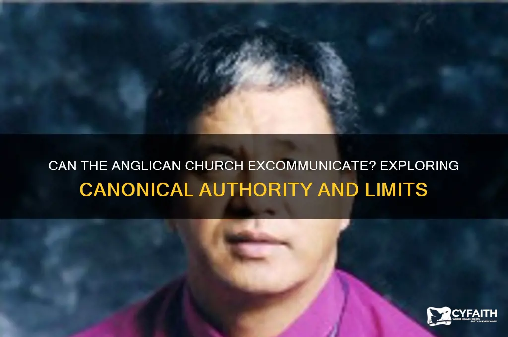 can the anglican church excummunicate