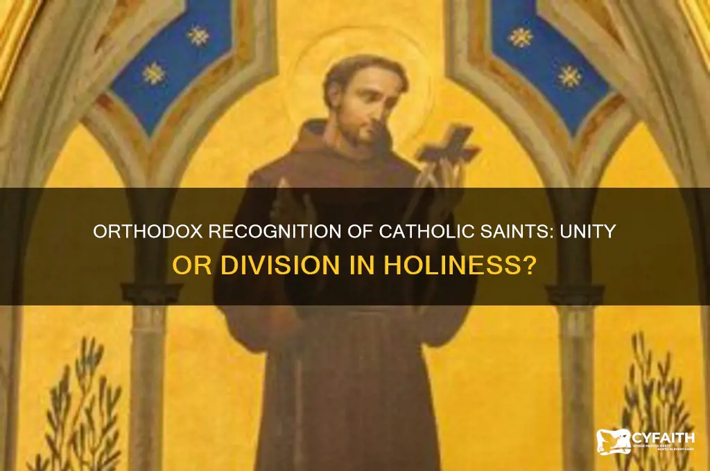 can the orthodox recognize catholic saints