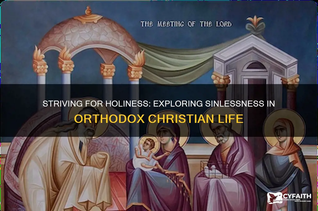 can we be without sin orthodox