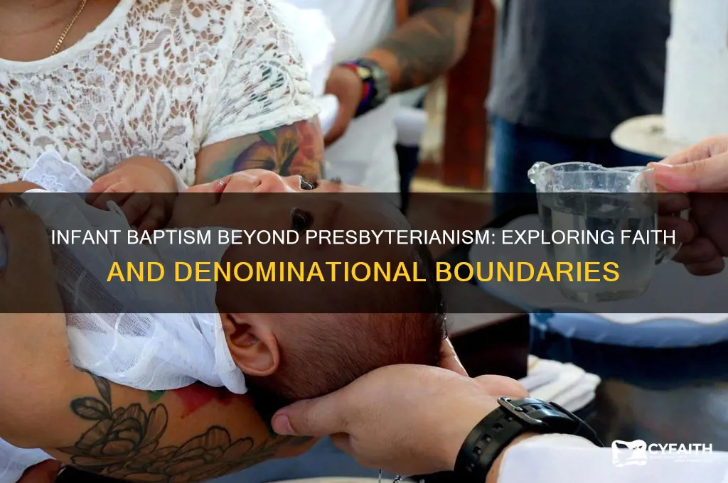 can you believe in infant baptism and not be presbyterian