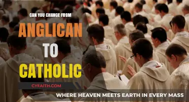 Transitioning Faith: Anglican to Catholic Conversion Explained and Explored