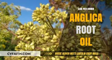 Is Angelica Root Oil Safe to Drink? Facts and Risks Explained