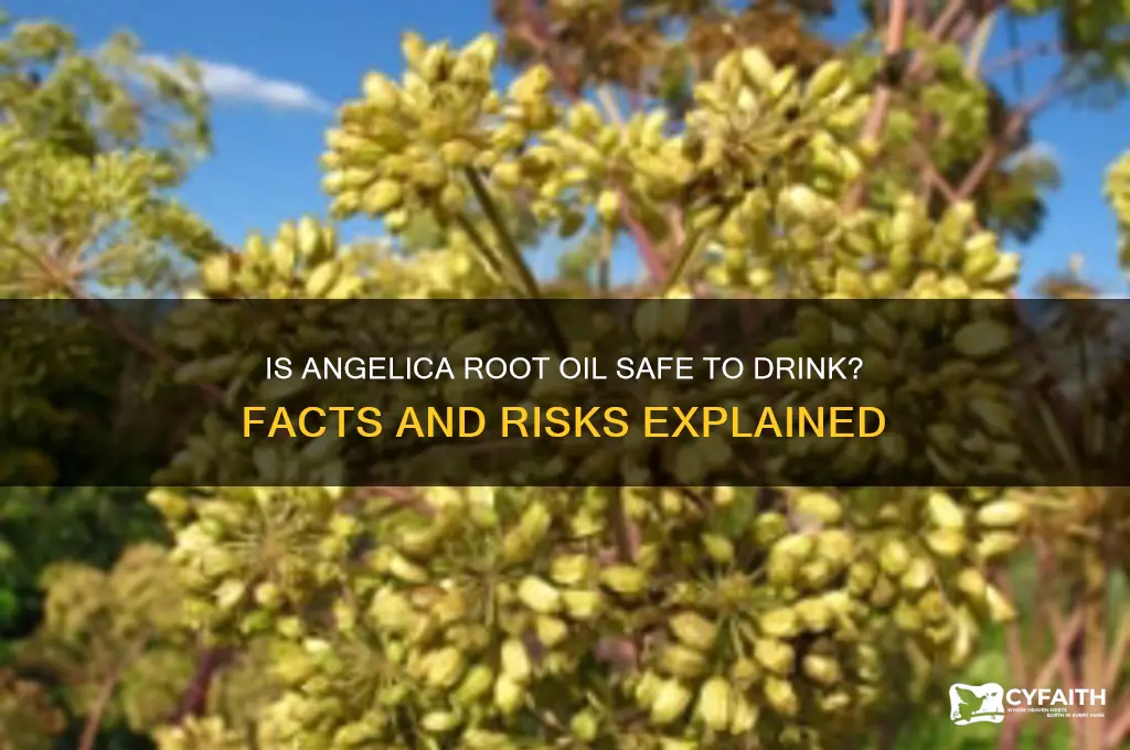 can you drink anglica root oil