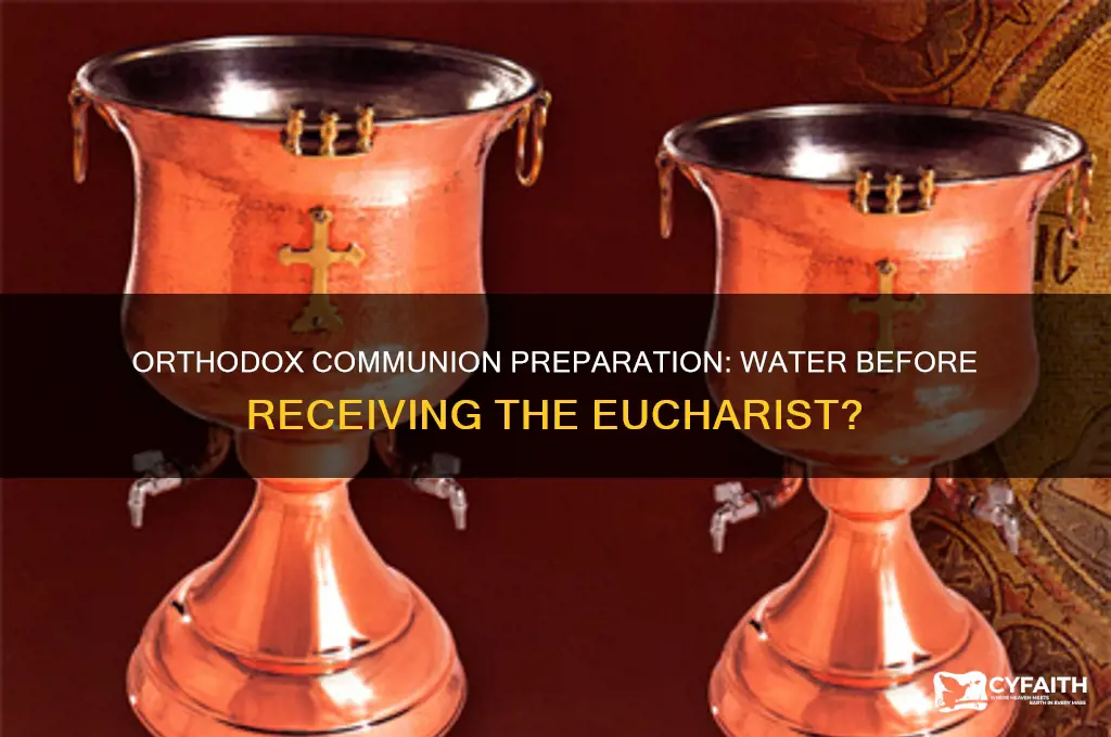 can you drink water before communion orthodox