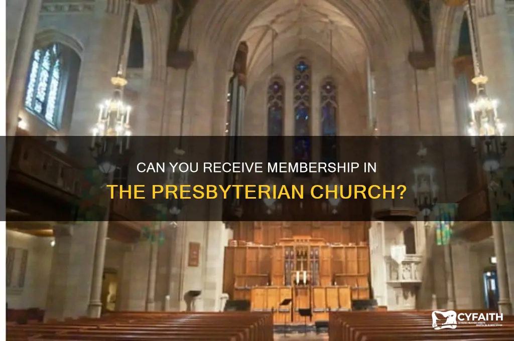 can you get m in presbyterian church