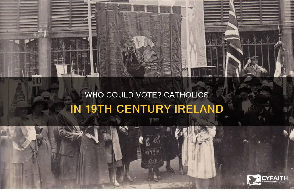 could catholics in nineteenth century ireland vote
