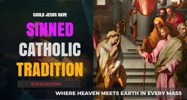 Jesus' Sinless Nature: Catholic Tradition Explored