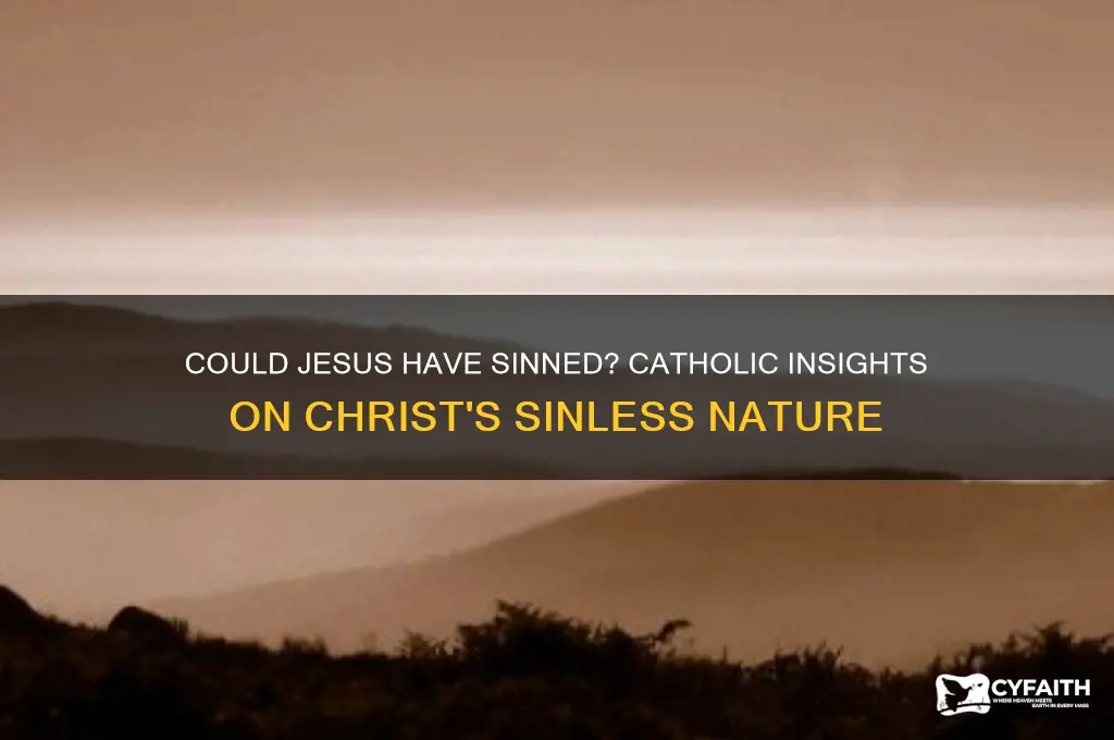 could jesus have sinned catholic