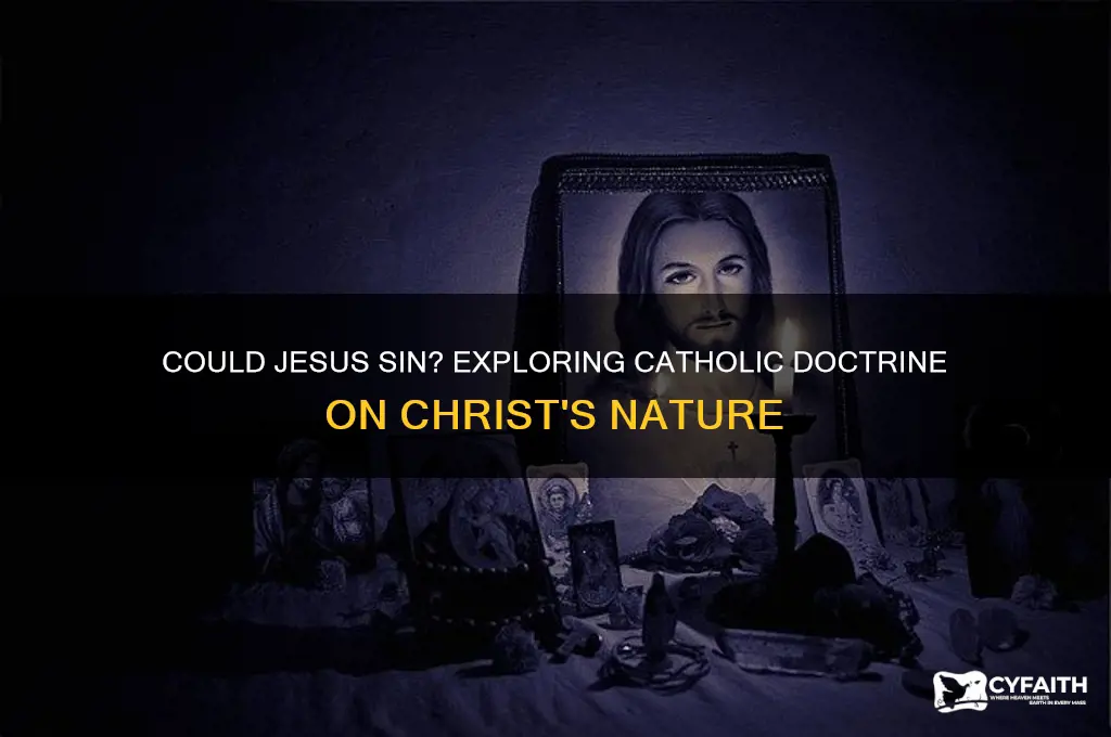 could jesus sin catholic