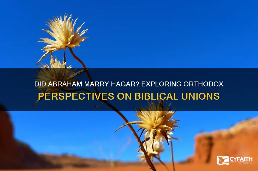 did abraham marry hagar orthodox