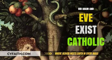 Adam and Eve: Catholic View on Their Existence