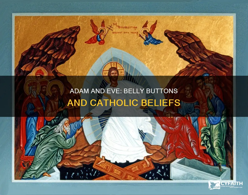 did adam and eve have belly buttons catholic