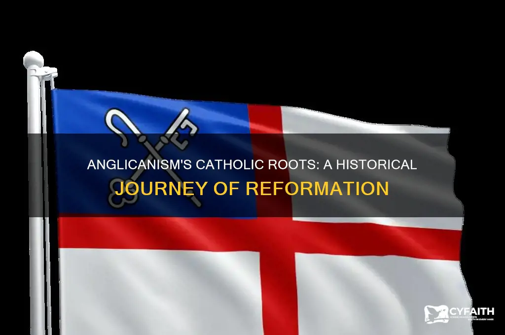 did anglican ism come out of catholicism