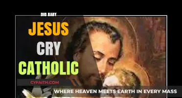 Did Baby Jesus Cry? Catholic Insights on the Holy Infant's Humanity