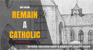 Calvin's Catholic Roots: Did He Ever Truly Break Away?